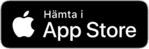 Hämta i appstore bild